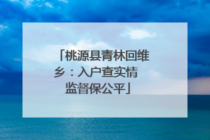 桃源县青林回维乡：入户查实情 监督保公平