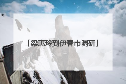梁惠玲到伊春市调研