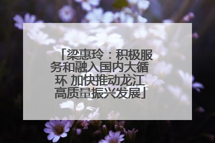 梁惠玲：积极服务和融入国内大循环 加快推动龙江高质量振兴发展