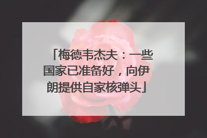 梅德韦杰夫：一些国家已准备好，向伊朗提供自家核弹头