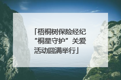 梧桐树保险经纪“桐星守护”关爱活动圆满举行