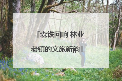 森铁回响 林业老镇的文旅新韵