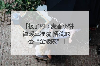 楼子村：麦香小饼温暖幸福院 撂荒地变“金饭碗”