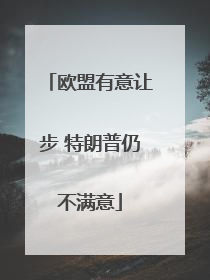 欧盟有意让步 特朗普仍不满意