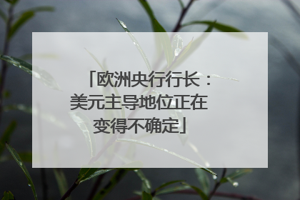 欧洲央行行长：美元主导地位正在变得不确定
