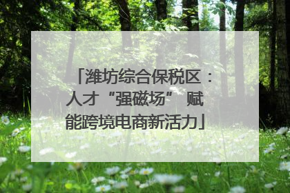 潍坊综合保税区：人才“强磁场” 赋能跨境电商新活力