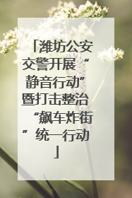 潍坊公安交警开展“静音行动”暨打击整治“飙车炸街”统一行动