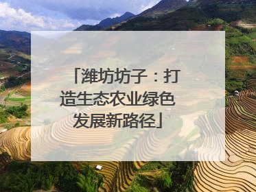 潍坊坊子：打造生态农业绿色发展新路径