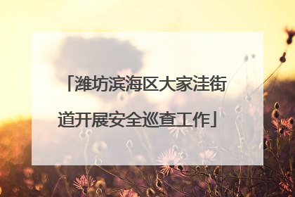 潍坊滨海区大家洼街道开展安全巡查工作