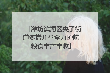 潍坊滨海区央子街道多措并举全力护航粮食丰产丰收