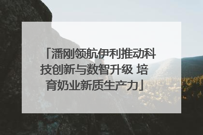 潘刚领航伊利推动科技创新与数智升级 培育奶业新质生产力