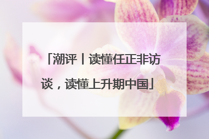 潮评丨读懂任正非访谈，读懂上升期中国