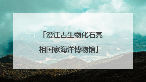 澄江古生物化石亮相国家海洋博物馆