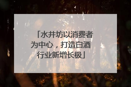 水井坊以消费者为中心，打造白酒行业新增长极