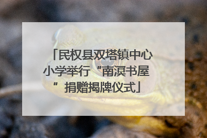 民权县双塔镇中心小学举行“南溟书屋”捐赠揭牌仪式