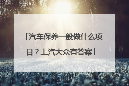 汽车保养一般做什么项目？上汽大众有答案