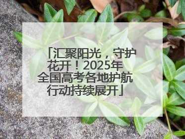 汇聚阳光，守护花开！2025年全国高考各地护航行动持续展开