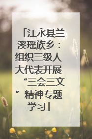 江永县兰溪瑶族乡：组织三级人大代表开展“三会三文”精神专题学习