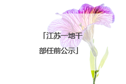江苏一地干部任前公示