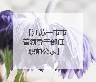 江苏一市市管领导干部任职前公示