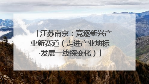 江苏南京：竞逐新兴产业新赛道（走进产业地标·发展一线探变化）