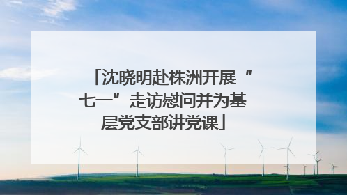 沈晓明赴株洲开展“七一”走访慰问并为基层党支部讲党课