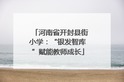 河南省开封县街小学：“银发智库”赋能教师成长
