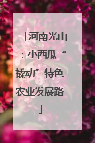 河南光山：小西瓜“撬动”特色农业发展路