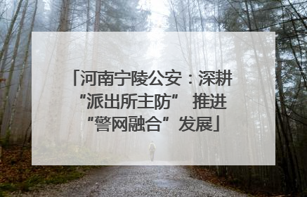 河南宁陵公安：深耕“派出所主防” 推进“警网融合”发展