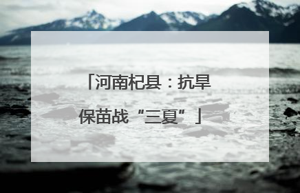 河南杞县：抗旱保苗战“三夏”