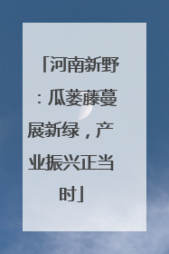 河南新野：瓜蒌藤蔓展新绿，产业振兴正当时
