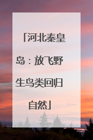 河北秦皇岛：放飞野生鸟类回归自然