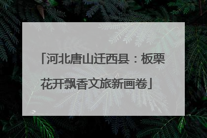 河北唐山迁西县：板栗花开飘香文旅新画卷
