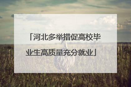 河北多举措促高校毕业生高质量充分就业