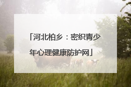 河北柏乡：密织青少年心理健康防护网