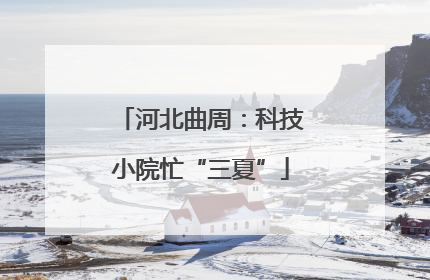 河北曲周：科技小院忙“三夏”