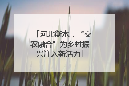 河北衡水：“交农融合”为乡村振兴注入新活力