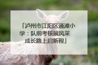 泸州市江阳区通滩小学：队前考核展风采 成长路上启新程