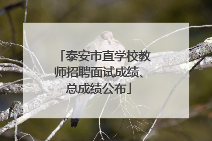 泰安市直学校教师招聘面试成绩、总成绩公布