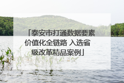 泰安市打通数据要素价值化全链路 入选省级改革精品案例