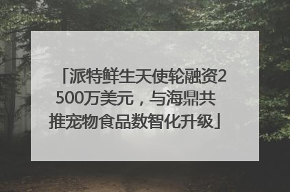 派特鲜生天使轮融资2500万美元，与海鼎共推宠物食品数智化升级