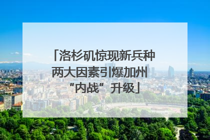 洛杉矶惊现新兵种 两大因素引爆加州“内战”升级
