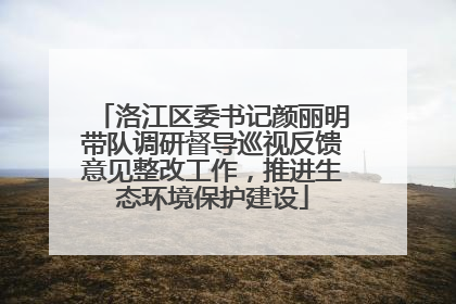 洛江区委书记颜丽明带队调研督导巡视反馈意见整改工作，推进生态环境保护建设
