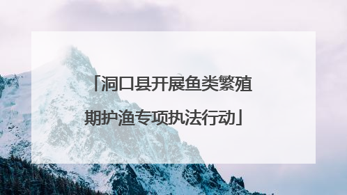 洞口县开展鱼类繁殖期护渔专项执法行动