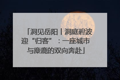 洞见岳阳丨洞庭碧波迎“归客”：一座城市与麋鹿的双向奔赴