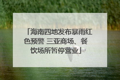 海南四地发布暴雨红色预警 三亚商场、餐饮场所暂停营业