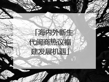 海内外新生代闽商热议福建发展机遇