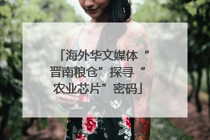 海外华文媒体“晋南粮仓”探寻“农业芯片”密码