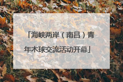 海峡两岸（南昌）青年木球交流活动开幕