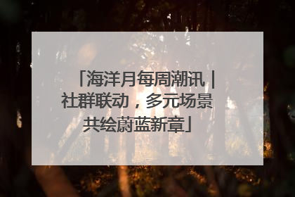 海洋月每周潮讯｜社群联动，多元场景共绘蔚蓝新章
